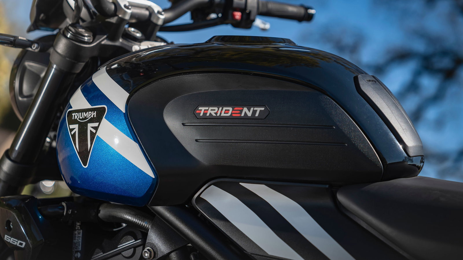 Trident 660 - detail